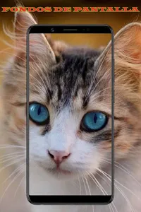 Fondos de Pantalla de Animales screenshot 4