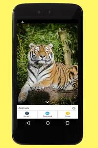 Animals Images screenshot 2