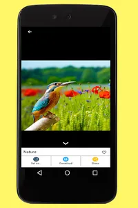 Nature Images screenshot 3