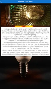 Light Bulbs Species screenshot 0