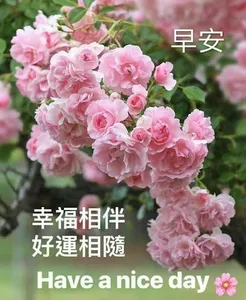 早上好图片 2023 screenshot 5