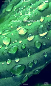 Water Drops Wallpaper screenshot 1