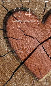 Wood Wallpaper screenshot 2