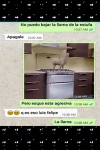 Imágenes Chistosas screenshot 3