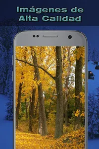 Imágenes de Paisajes Naturales screenshot 5