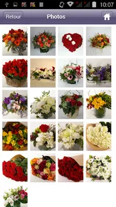 Pelican Fleurs screenshot 2