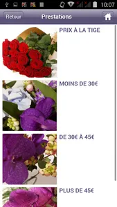 Pelican Fleurs screenshot 3