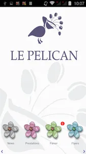 Pelican Fleurs screenshot 4