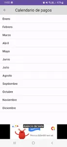 Calendario de pagos ANSES screenshot 1