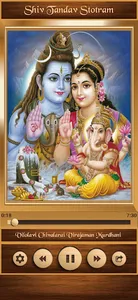 Shiv Tandav Stotram screenshot 0