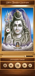 Shiv Tandav Stotram screenshot 9