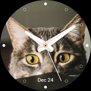 Cat Watch Face screenshot 10