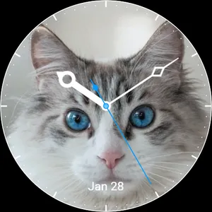 Cat Watch Face screenshot 11