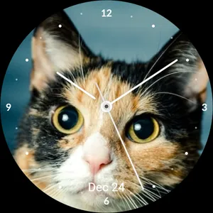 Cat Watch Face screenshot 13