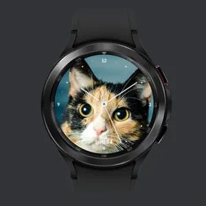 Cat Watch Face screenshot 8