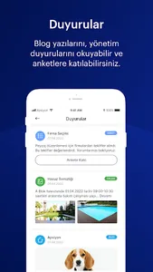 İstanbul Yönetim screenshot 4