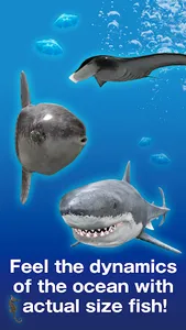 AR TOUR OCEAN screenshot 2