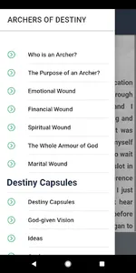 ARCHERS OF DESTINY screenshot 3