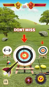 Archery Bow & Arrow Tournament screenshot 12