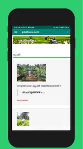pilathara.com screenshot 3