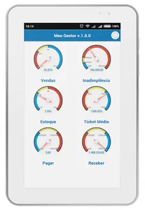 Meu Gestor screenshot 7