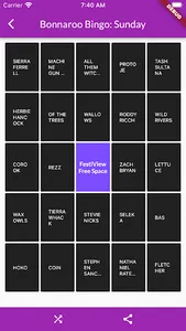 FestiView screenshot 1