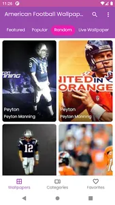 NFL Football Wallpapers HD screenshot 12