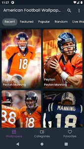 NFL Football Wallpapers HD screenshot 13