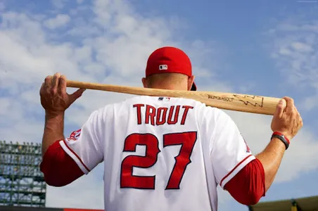 Baseball Wallpapers HD screenshot 0