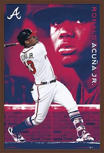 Baseball Wallpapers HD screenshot 6