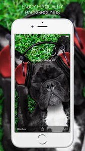 Funny Wallpapers HD screenshot 10
