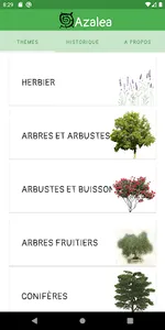 Azalea - Quiz sur la flore de  screenshot 0
