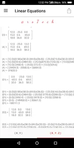 Linear Equations Solver screenshot 2