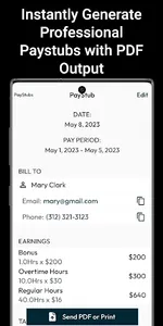 PayStub: PaySlip PDF Generator screenshot 5