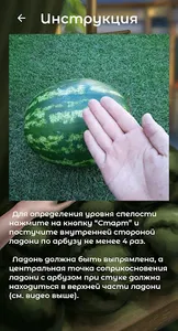 Арбузометр screenshot 3
