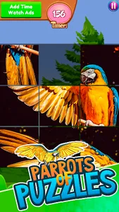 Parrots of Puzzles: Free Slidi screenshot 6