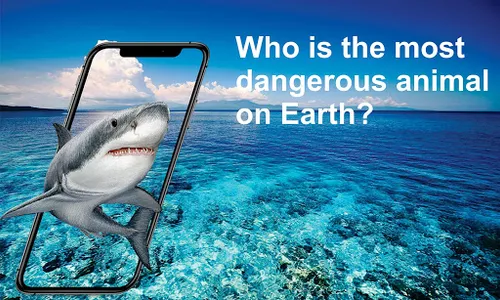 Dangerous animals of our plane screenshot 0