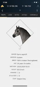 NOBLE HORSE CHAMPION screenshot 0