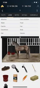 NOBLE HORSE CHAMPION screenshot 1