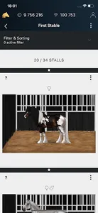 NOBLE HORSE CHAMPION screenshot 2