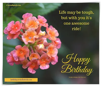 Beautiful Birthday Cards screenshot 11