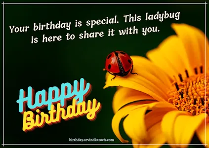 Beautiful Birthday Cards screenshot 5