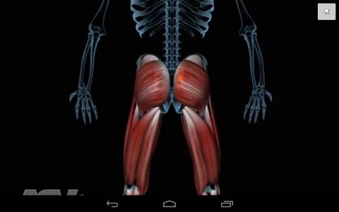 ASA Laser (ru) screenshot 2