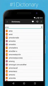 Spanish English Dictionary + screenshot 1