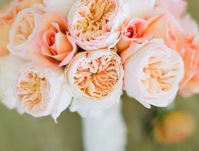 صور باقات الزهور بدون انترنت screenshot 0