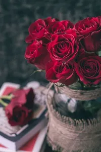 صور باقات الزهور بدون انترنت screenshot 10