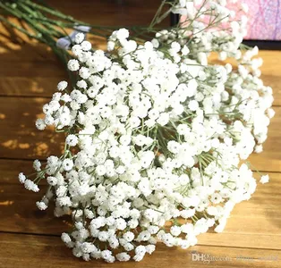 صور باقات الزهور بدون انترنت screenshot 15