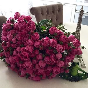 صور باقات الزهور بدون انترنت screenshot 5