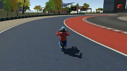 Wheelie Asian Grau Stunt screenshot 11