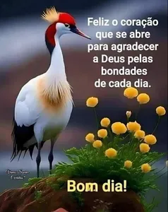 Bom dia Feliz para todos screenshot 0